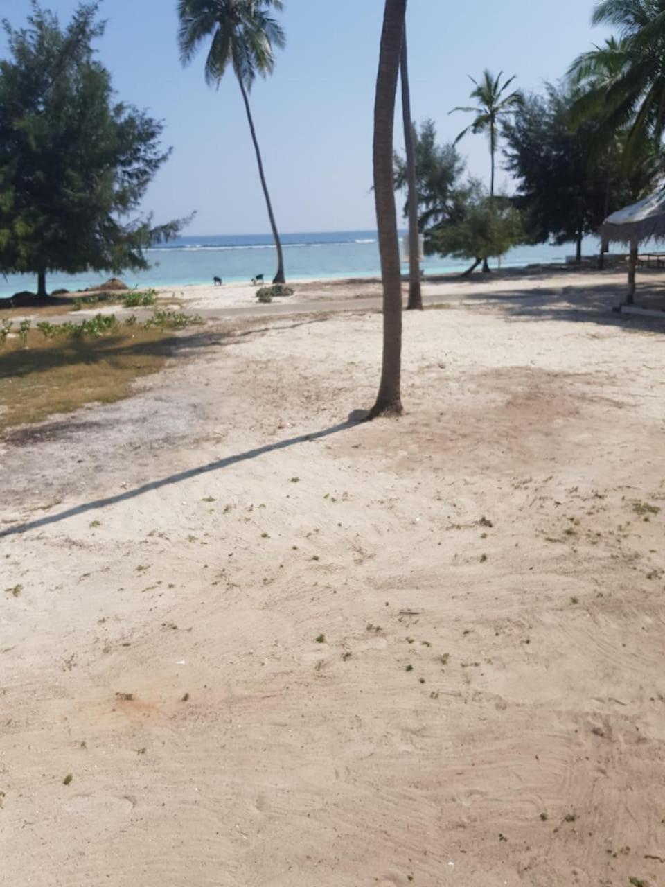 Agatti Flyzone Seashell Cottages Only For Indian Nationals With Valid Entry Permit מראה חיצוני תמונה
